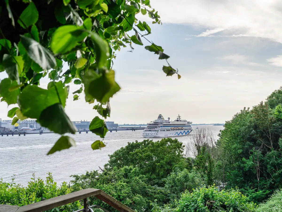 Lindenterrasse Blick von der Lindenterrasse aus auf die Elbe und ein Kreuzfahrtschiff.
