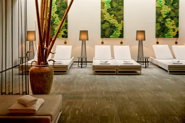 espace bien-être L'espace détente du Louis C. Jacob, avec ses chaises longues et ses plantes.
