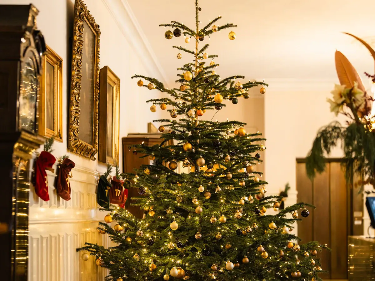 Un sapin de Noël dans une pièce décorée pour les fêtes.