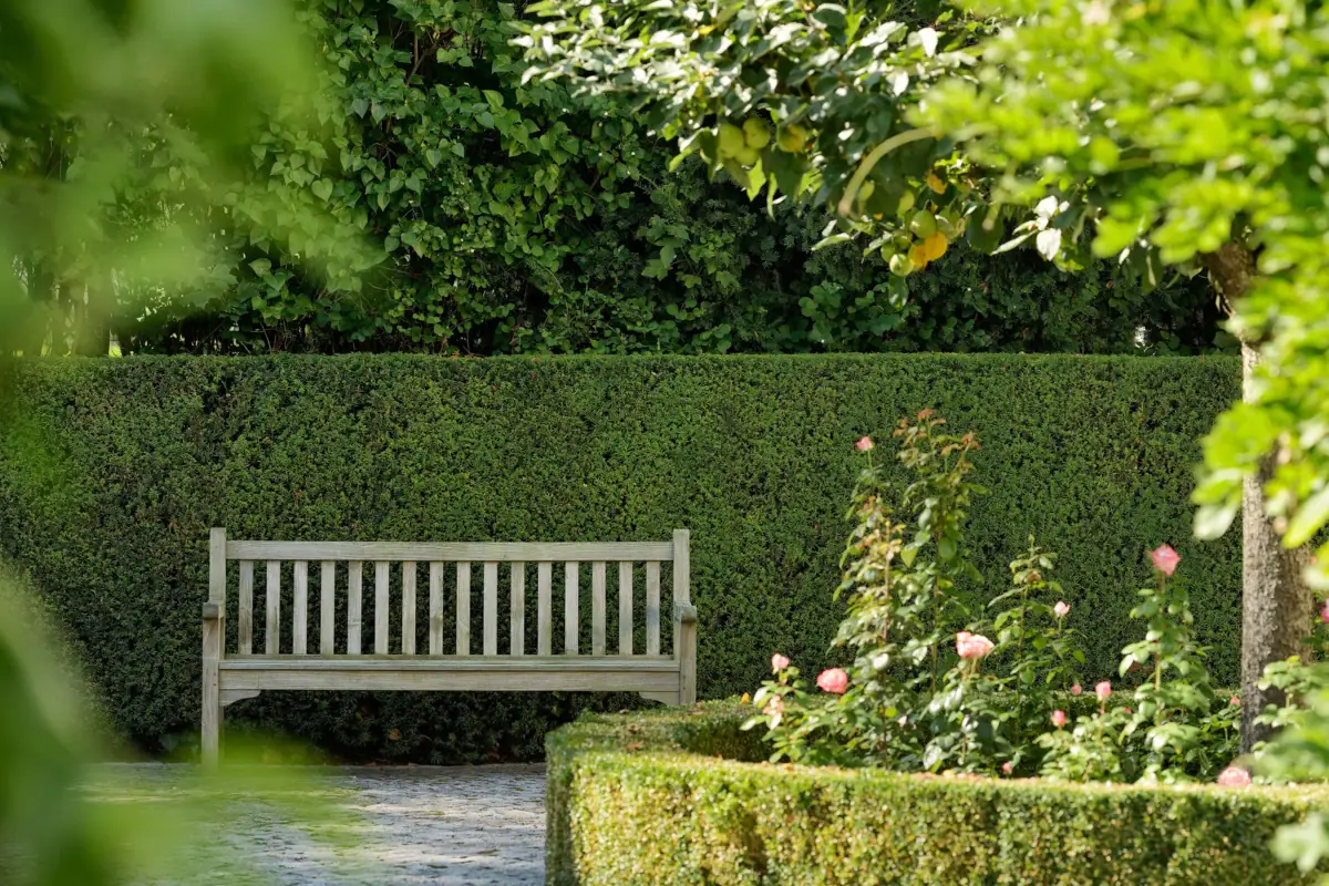 Banc en bois dans un jardin avec des arbres et des plantes.