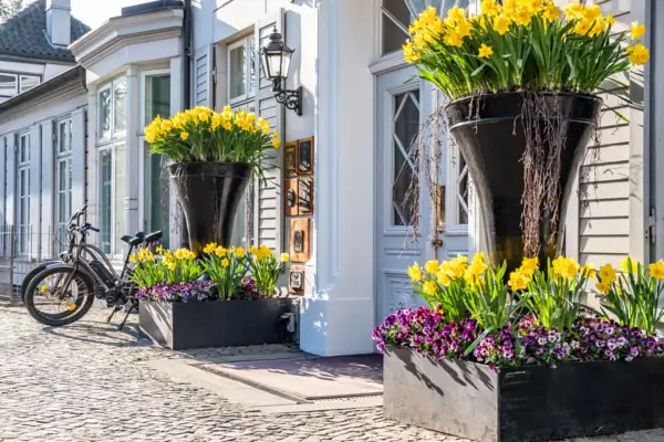 Un groupe de fleurs dans de grands pots noirs devant un bâtiment.