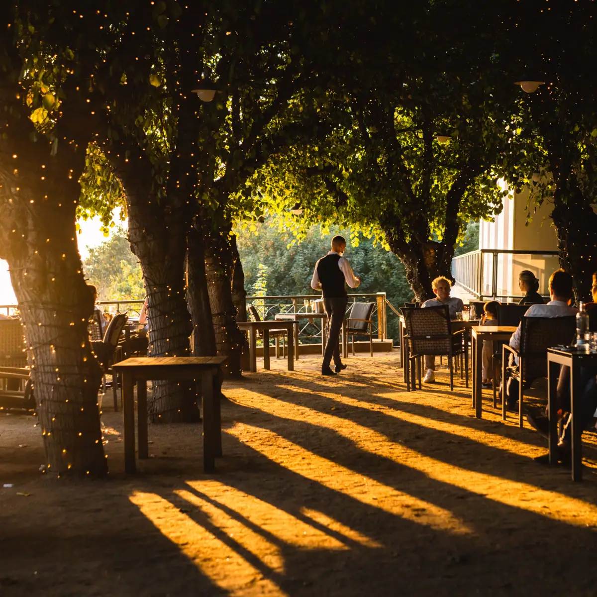 Lindenterrasse bei Sonnenuntergang