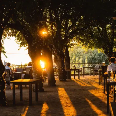 Un groupe de personnes assises à des tables sous des arbres.
